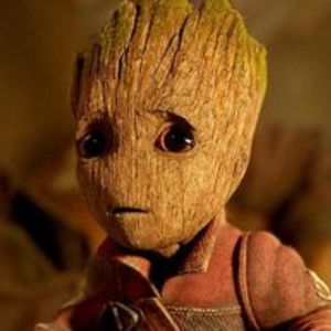 Meet your Posher, Irene